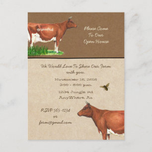 Dairy Farm Tour Invitation Guernsey Cow Postcard