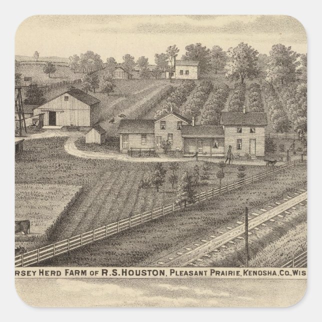 Dairy farms of RS Houston and WC White Square Sticker (Front)