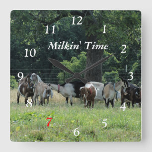 Dairy Goats Clock- customize-choose size Square Wall Clock