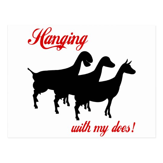 Dairy Goats Postcard