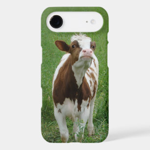 Dairy Milk Cow on the Farm