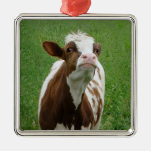 Dairy Milk Cow on the Farm Metal Ornament