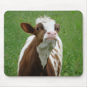 Dairy Milk Cow on the Farm Mouse Pad
