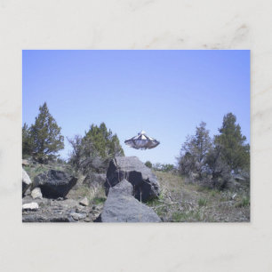 Dairy, Oregon UFO Postcard