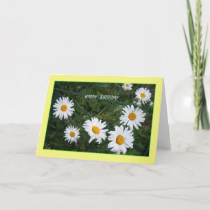 Daisées d'été Carte d'anniversaire