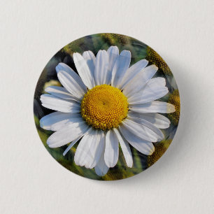 DAISIES 2 INCH ROUND BUTTON