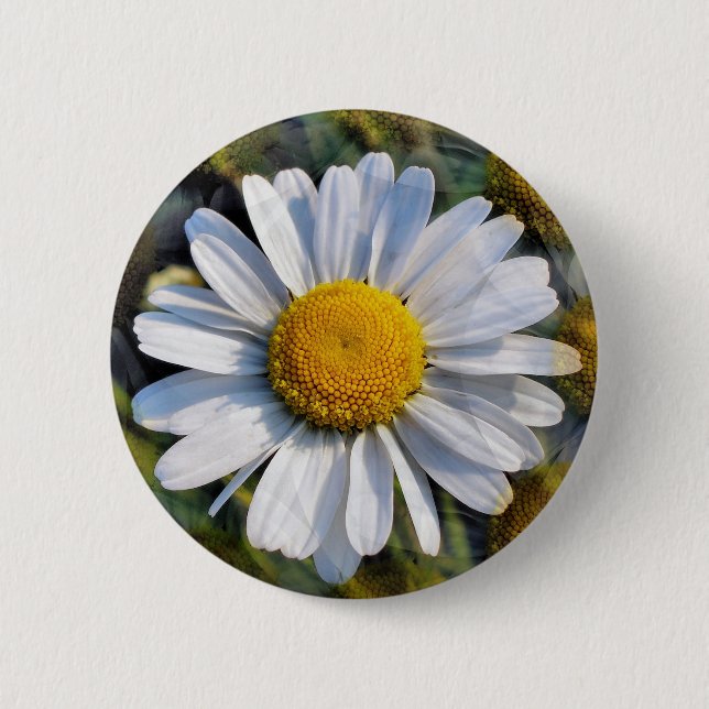 DAISIES 2 INCH ROUND BUTTON (Front)