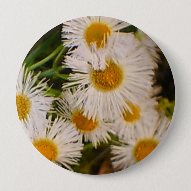 Daisies 4 Inch Round Button (Front)