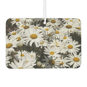 Daisies Air Freshener