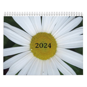 Daisies all Year 2024 Calendar