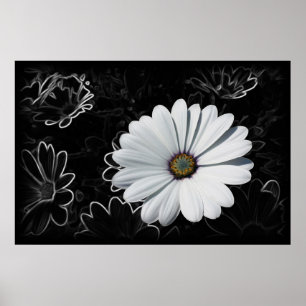 Daisies and shades of grey poster