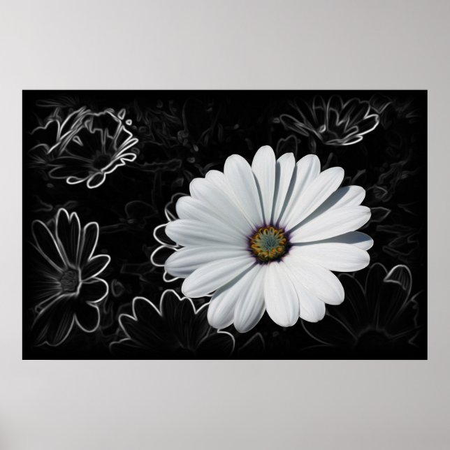 Daisies and shades of grey poster (Front)
