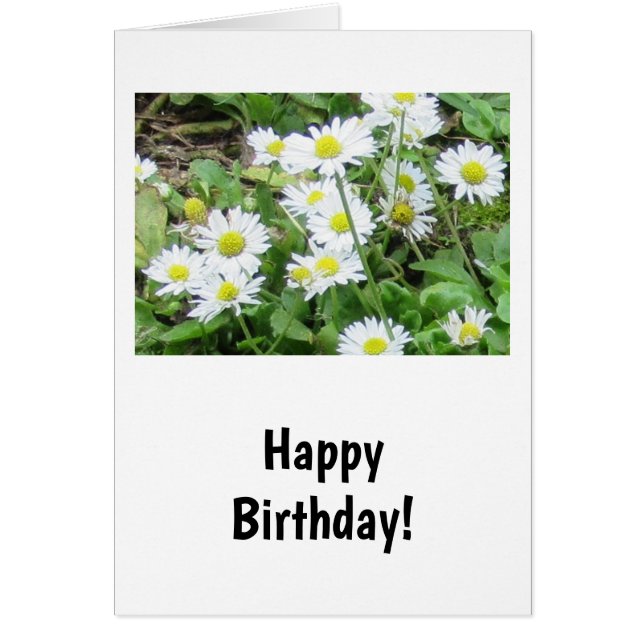 Daisies Birthday Card (Front)