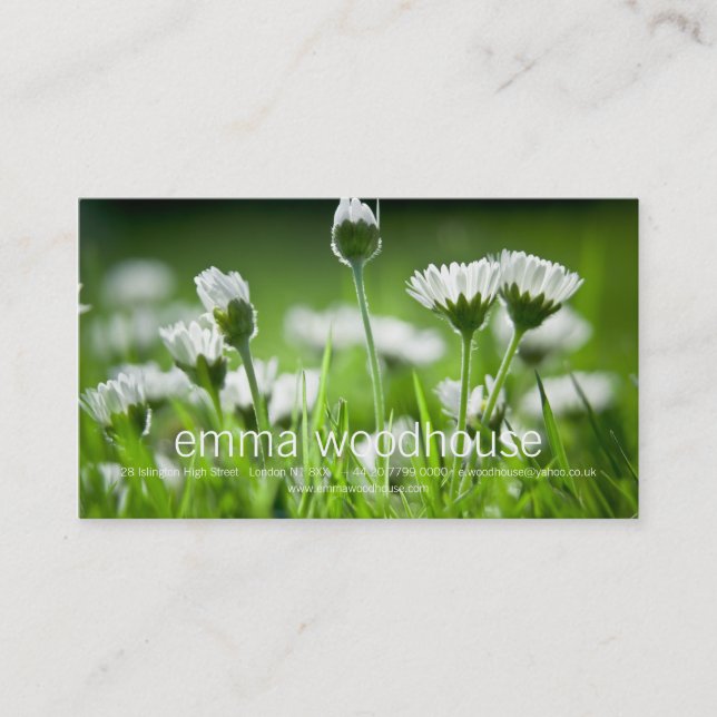Daisies Business Card (Front)