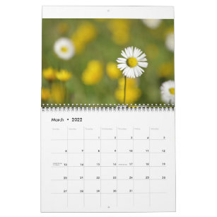 daisies calendar