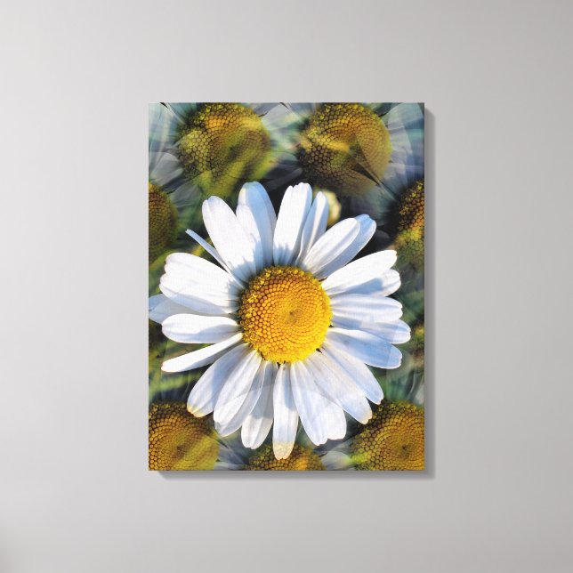 DAISIES CANVAS PRINT (Front)