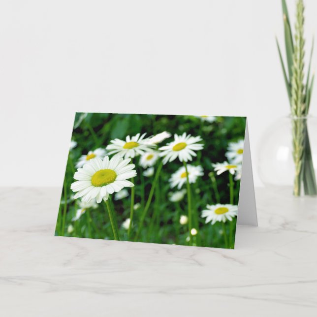 Daisies Card (Front)