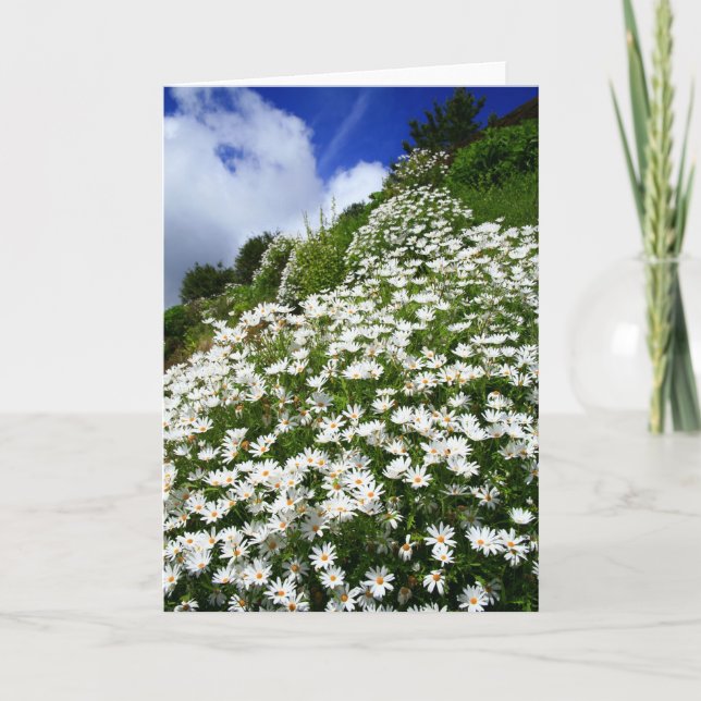 Daisies Card (Front)