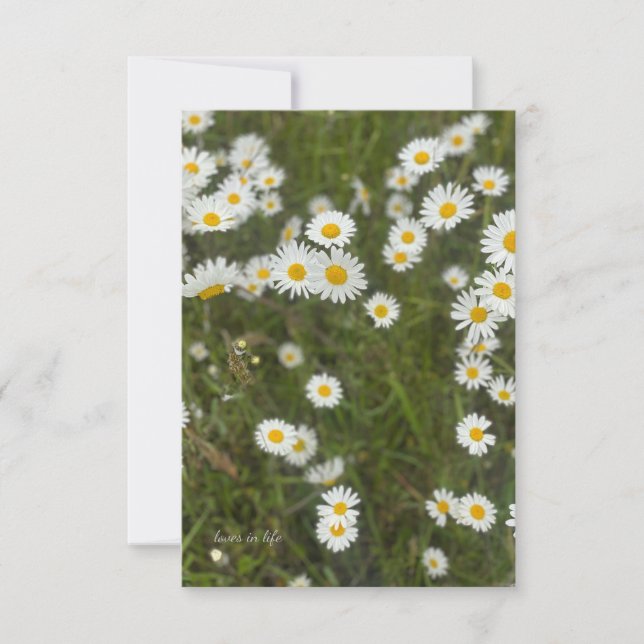 Daisies Card (Front)