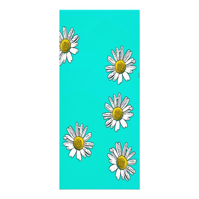 Daisies drawn rack card (Front)