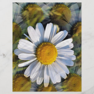 DAISIES FLYER
