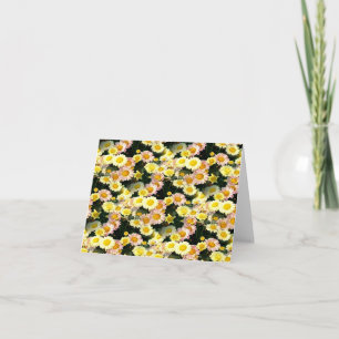 Daisies Galore...... Card