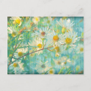 Daisies Grunge Postcard