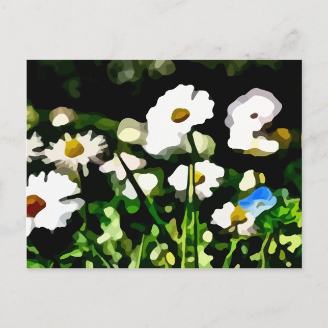 Daisies in Meadow painting Postcard (Front)