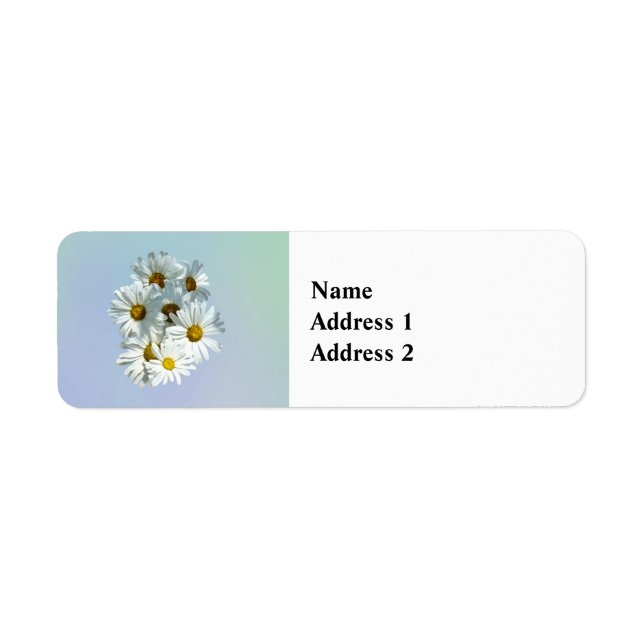 Daisies in Sunshine II (Front)