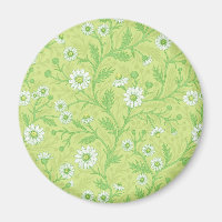 Daisies in white and green on honey dew green