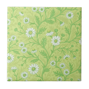Daisies in white and green on honey dew green tile