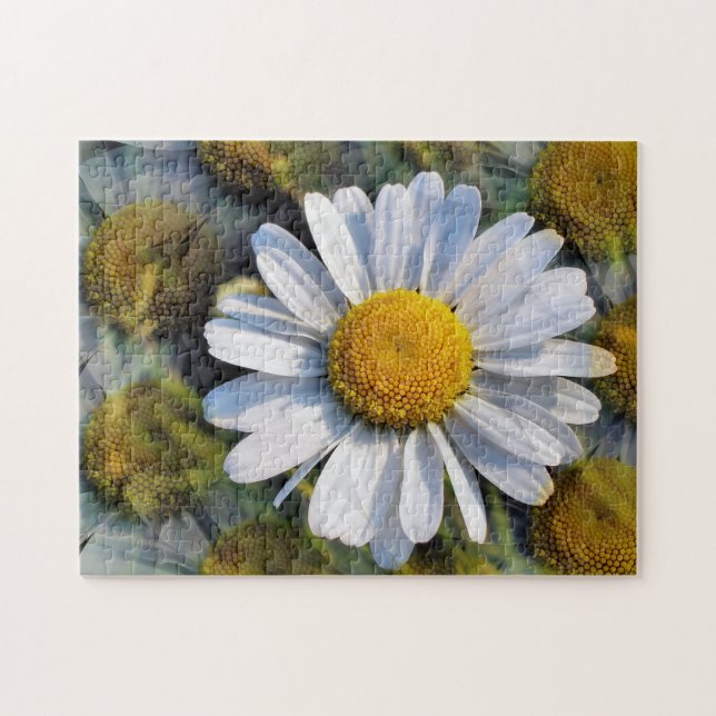 DAISIES JIGSAW PUZZLE (Horizontal)