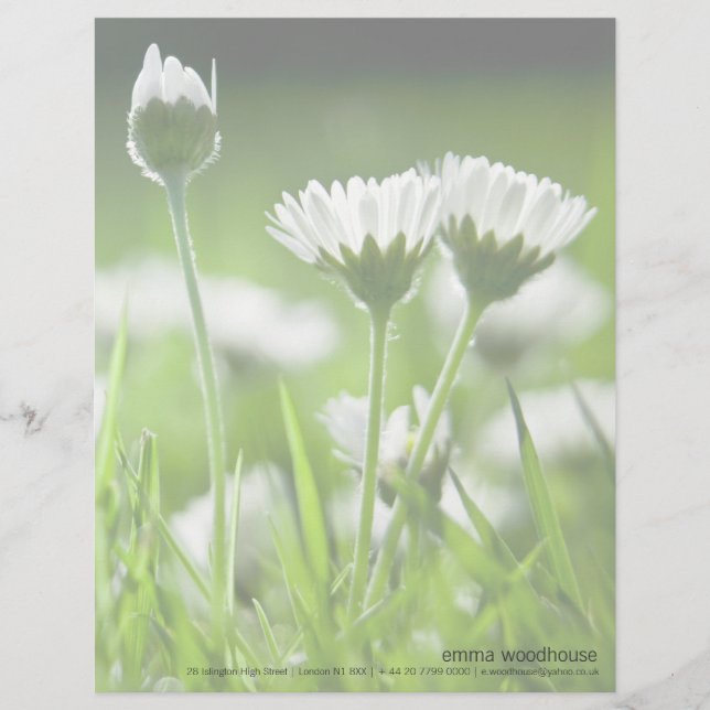 Daisies Letterhead (Front)