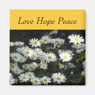 Daisies Magnet