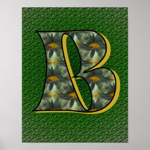Daisies Monogram Initial B Poster