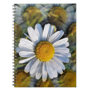 DAISIES NOTEBOOK