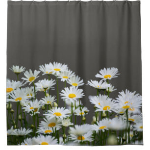 Daisies on Grey