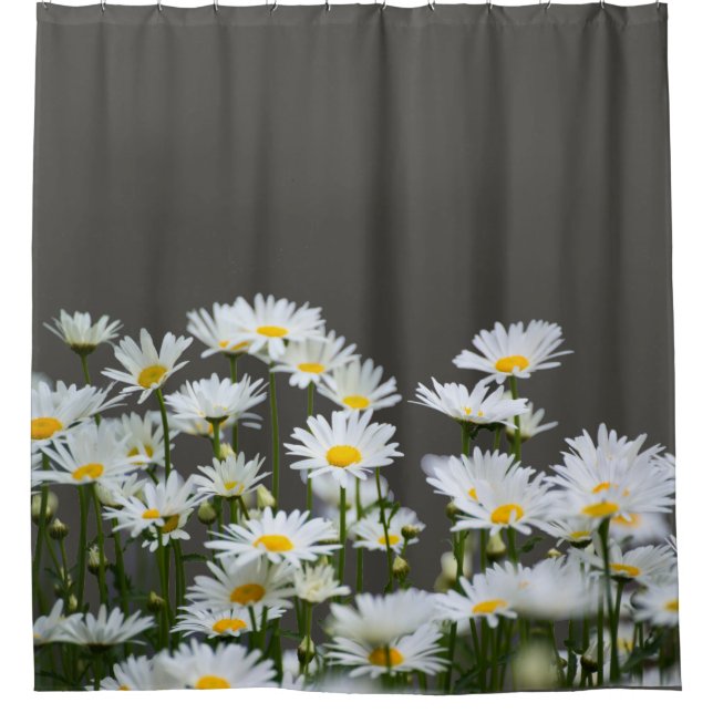 Daisies on Grey (Front)