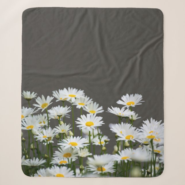Daisies on Grey  Sherpa Blanket (Front)