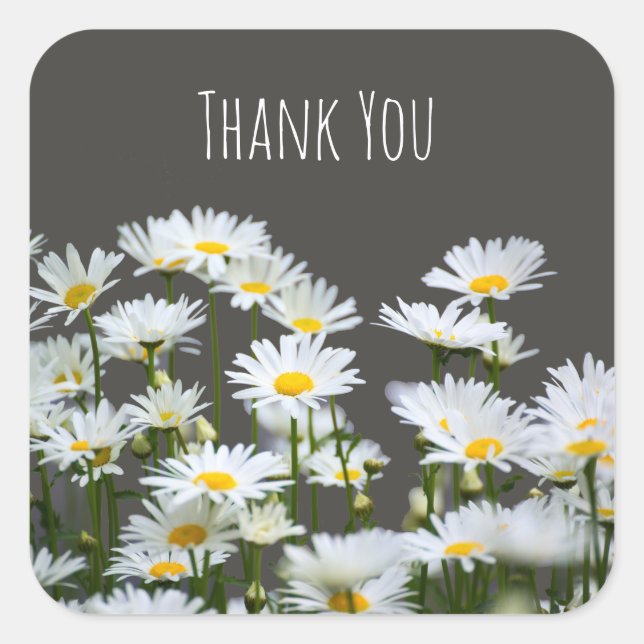 Daisies on Grey Thank You Square Sticker (Front)
