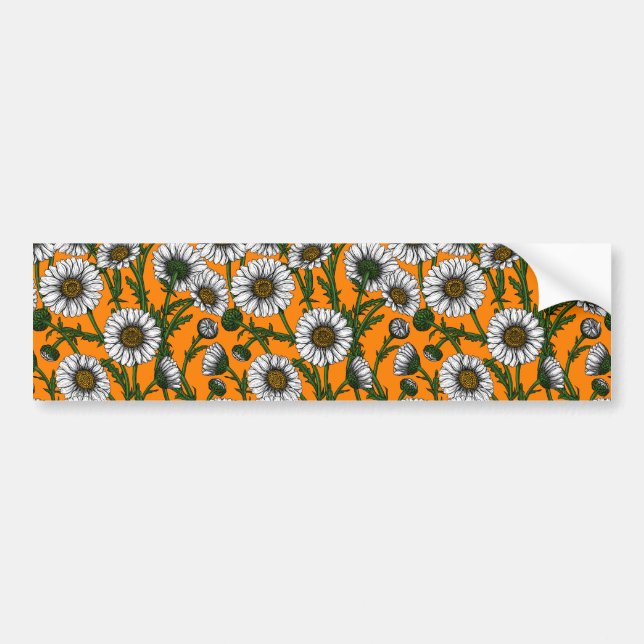 Daisies on orange bumper sticker (Front)