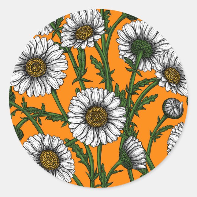 Daisies on orange classic round sticker (Front)
