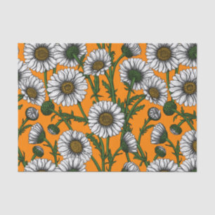 Daisies on orange tissue paper