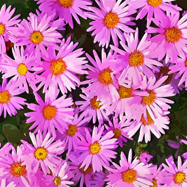 DAISIES PHOTO PRINT (A watercolor of pretty pink daisies.)