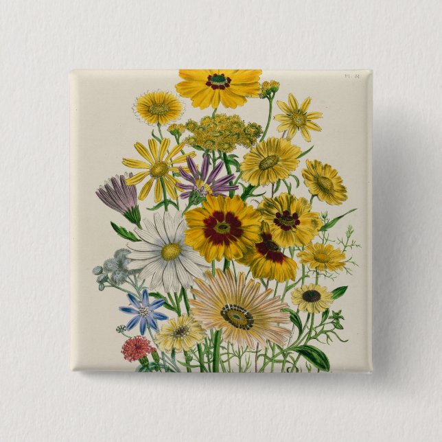 Daisies, plate 31 from 'The Ladies' 2 Inch Square Button (Front)