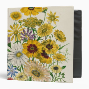 Daisies, plate 31 from 'The Ladies' Binder