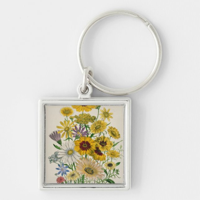 Daisies, plate 31 from 'The Ladies' Keychain (Front)