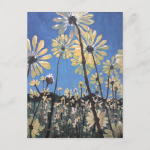 daisies postcard