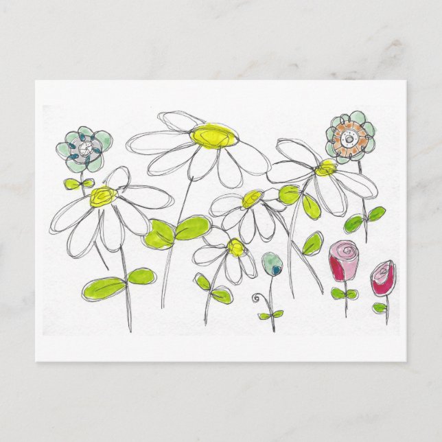 Daisies Postcard (Front)