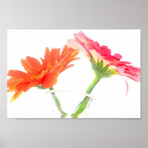 Daisies Poster